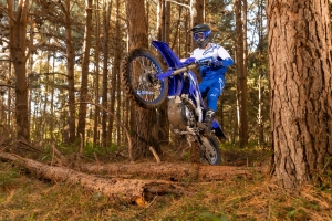 Yamaha WR450F, 12