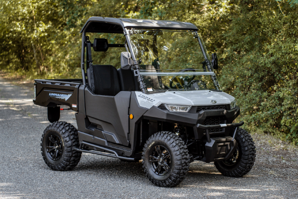 Linhai UTV LH-80DU Electric, 5