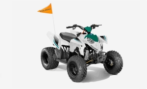Polaris OUTLAW 110