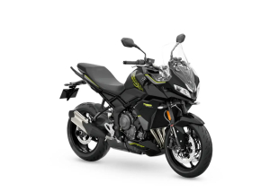Triumph Tiger Sport 800, 15