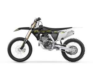 Triumph TF 250-X, 6