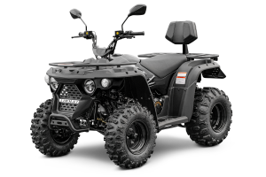 Linhai M210 EFI T3b