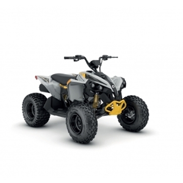 CAN-AM RENEGADE 110 EFI MY26