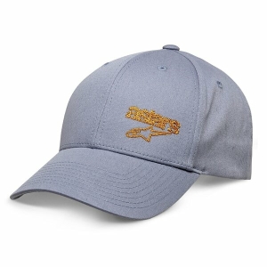 Sapca ALPINESTARS CHAIN Hat Gri