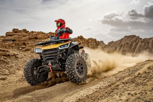Segway AT10 L EPS omologare Euro 5, 15