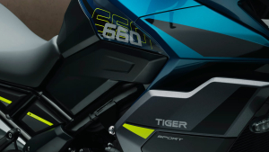 Triumph TIGER SPORT 660, 10