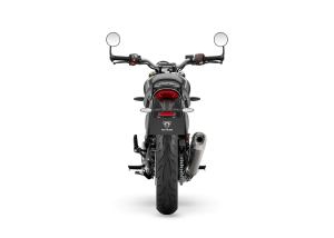 Triumph Speed 400, 6