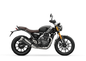 Triumph SCRAMBLER 400 X, 14