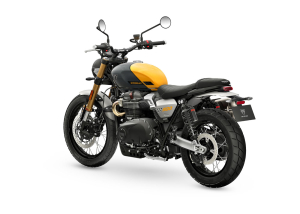 Triumph SCRAMBLER 900, 12