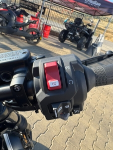 Honda Rebel 1100 DCT rulat, 11