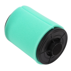 FILTRU AER BRP
