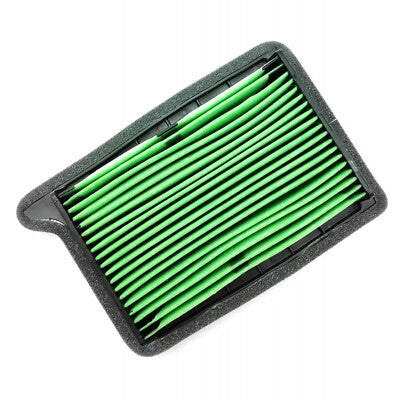 FILTRU AER TRIUMPH t2205986