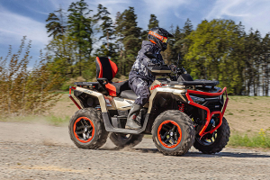 Linhai LandForce 650 Pro Euro 5, 4