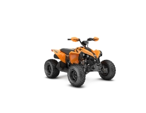 CAN-AM RENEGADE X XC 110 EFI MY27